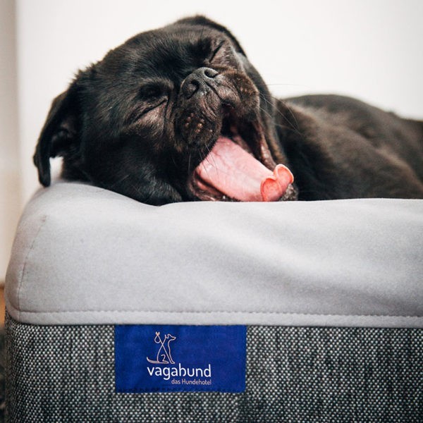 Hundehotel Vagabund &mdash; Lippstadt, DE