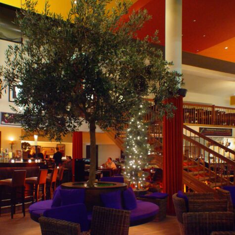 Restaurant Puccini's