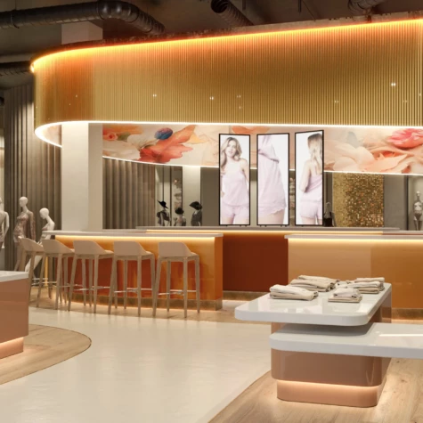 Lingerie Shop Concept