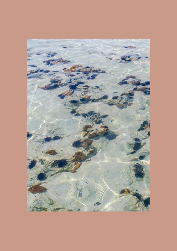 The Mora &mdash; Sansibar, TZ